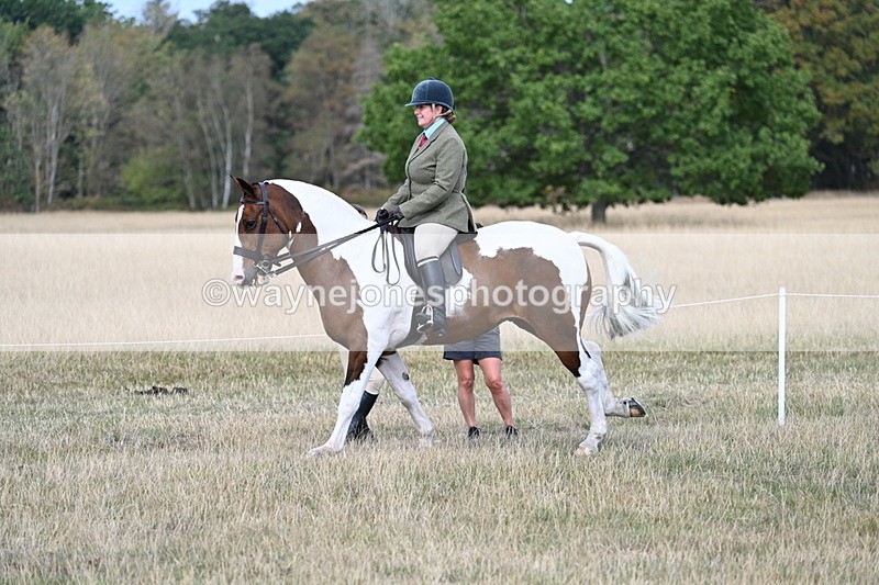 WJ7_7281 - Class 14 Ridden Coloured