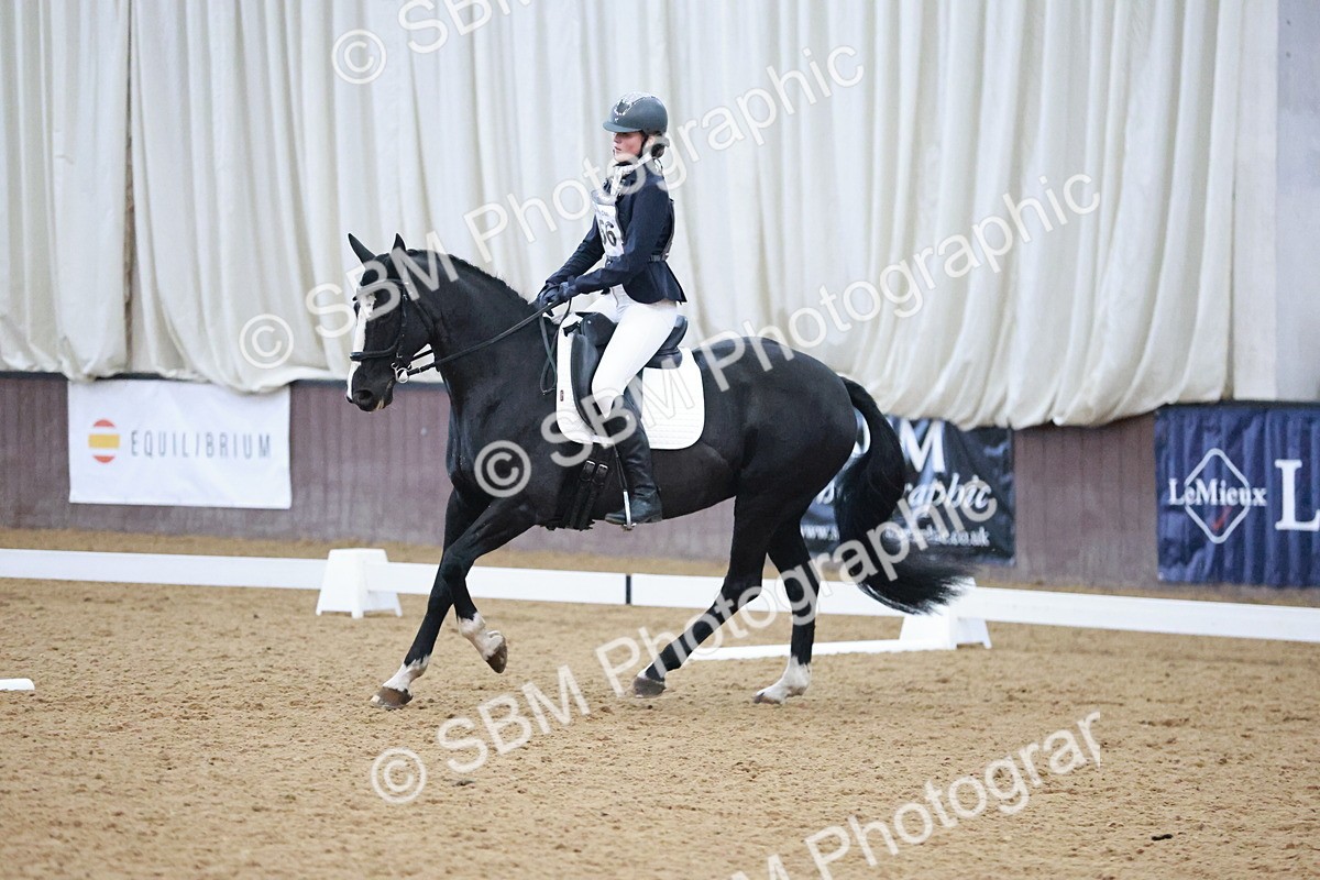 SBM_004627 - Ring 3 - International -  Working Hunter Classes 23-2-25