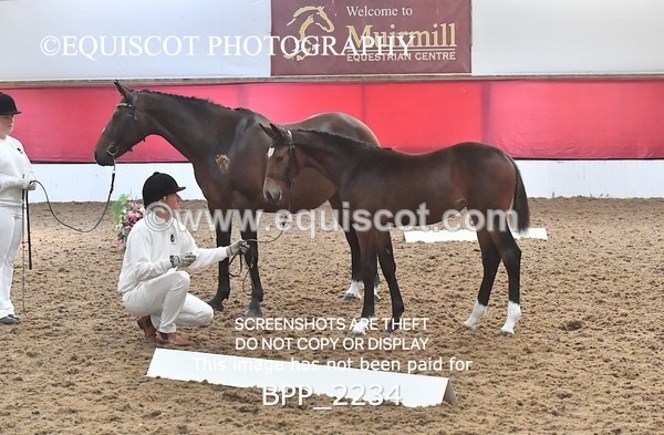 BPP_2234 - AFTERNOON 12.30 - 3.30PM