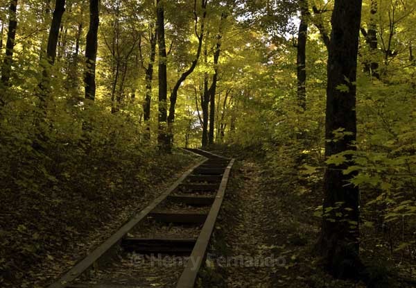  - Fall