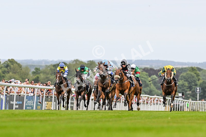 140824-Race 3-King Sharja-3506 - Race 3