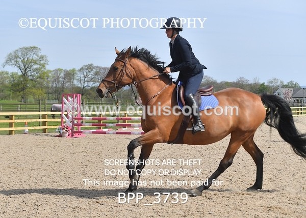 BPP_3739 - CLASS 2 Club/ Unaffiliated 80cms Open