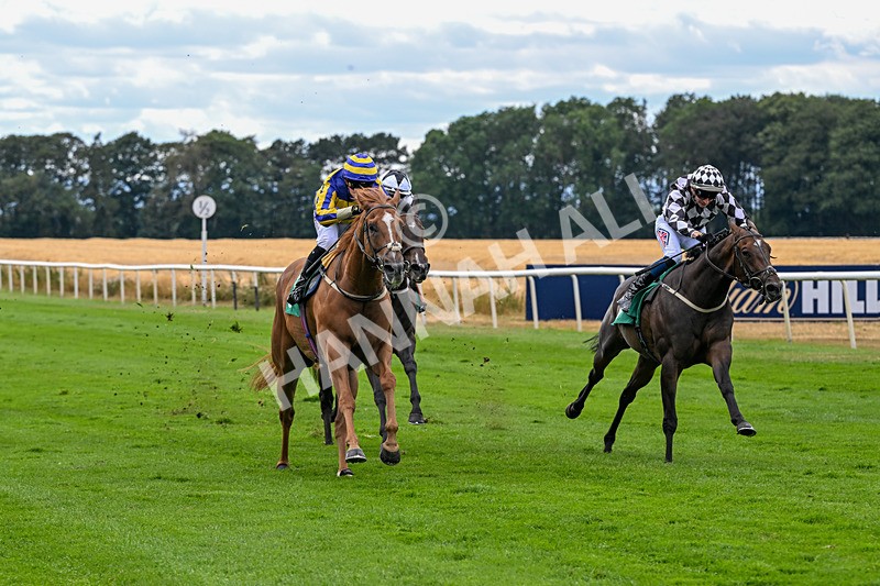 070826-Race 4-Azuinthejungle-1834 - Race 4 15.40pm Ladies' Day Saturday 5th September - Book Now Handicap
