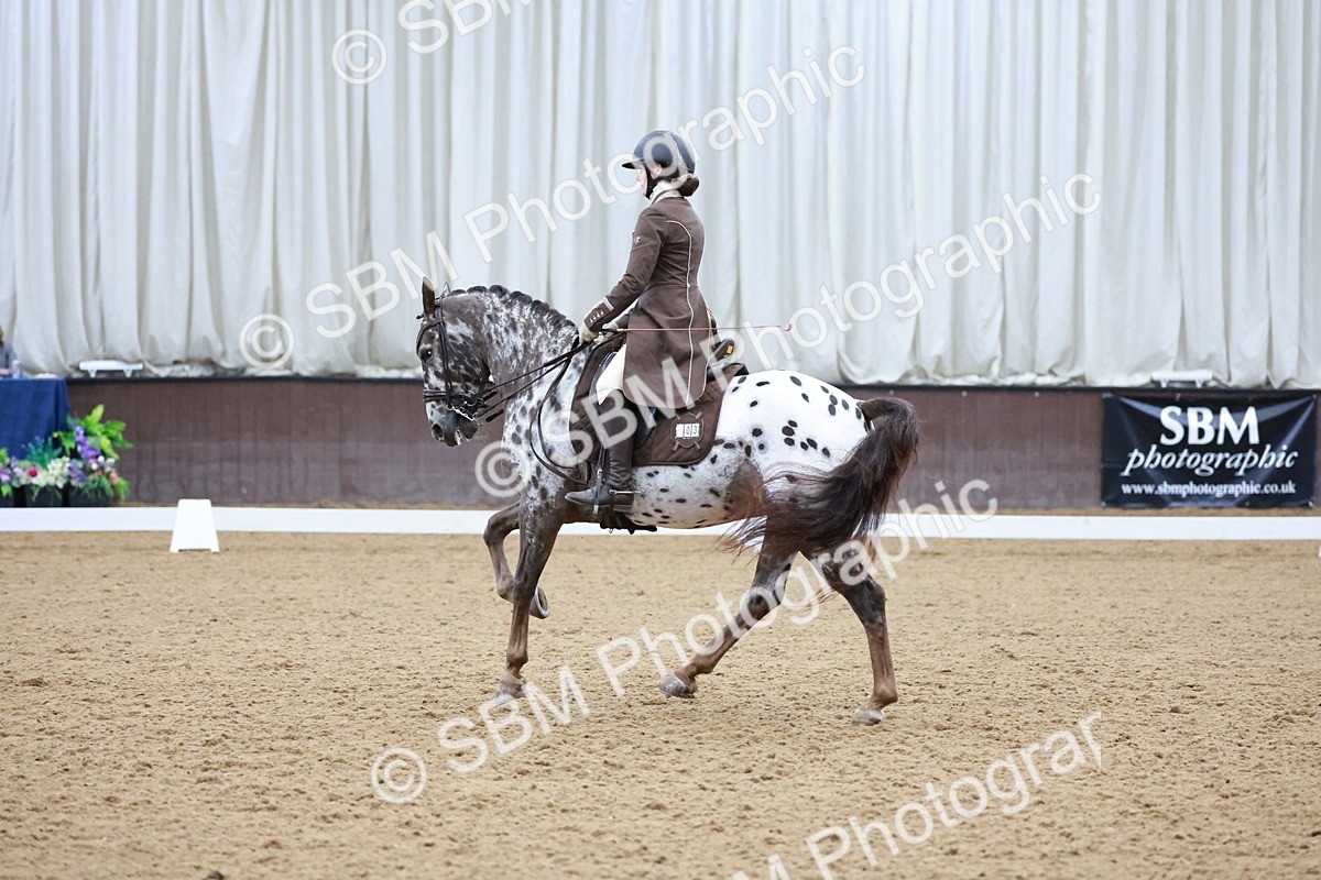 SBM_021388 - Class 14 - FEI Grand Prix - 17.40-18.34