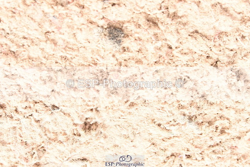 230902A-120126-00957 - Cls 9 1.10m Amateur Quali