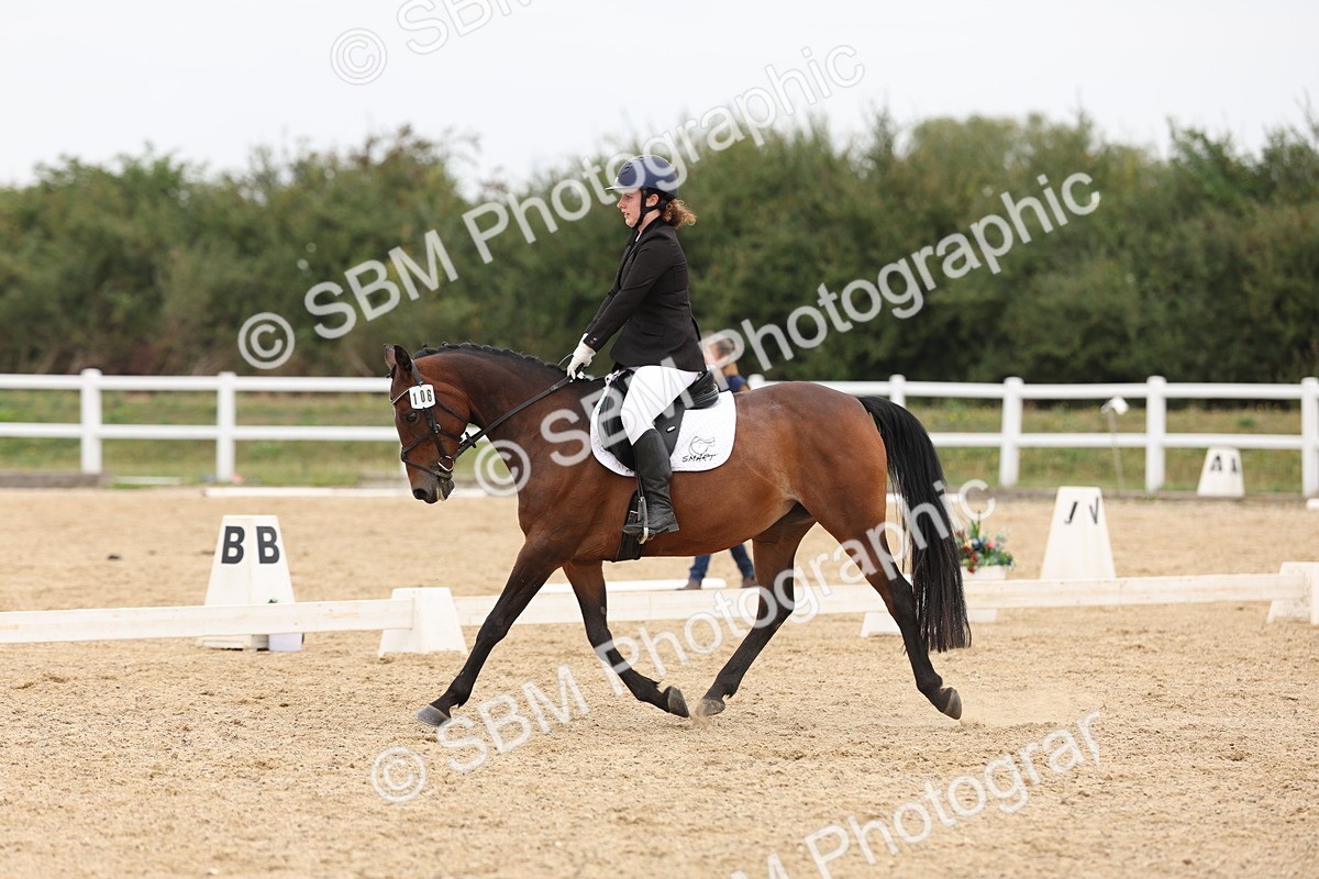 SBM_00926 - Class 8 - Novice 27 Champs