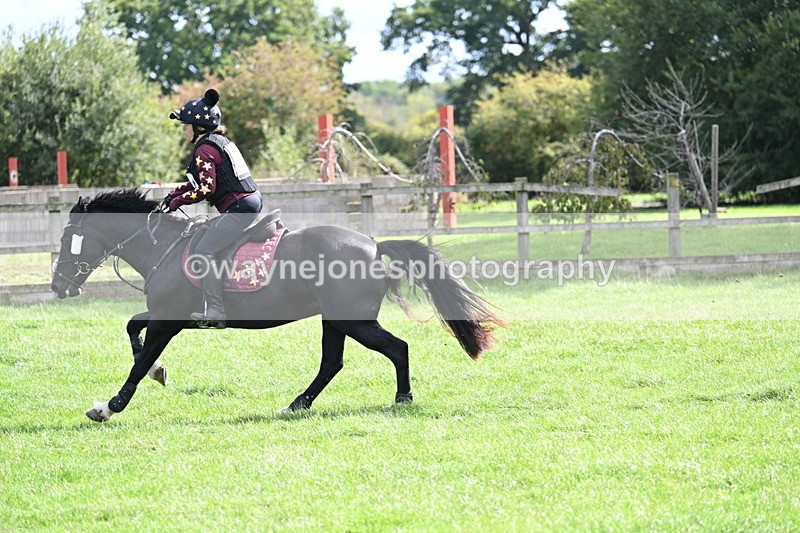 WJ7_0742 - Time 13:30 to 13:54