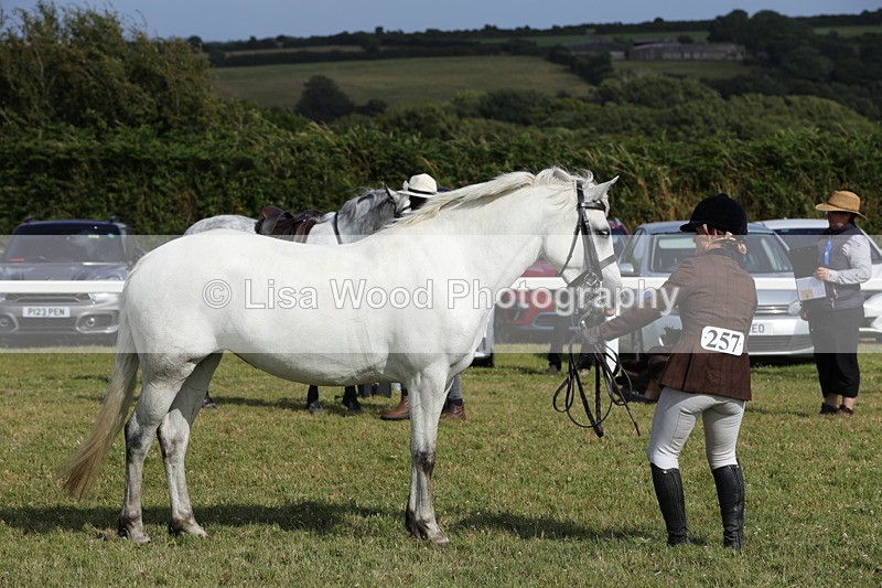 1X9A5934 - Class 41:. NPS New Forest & Connemara