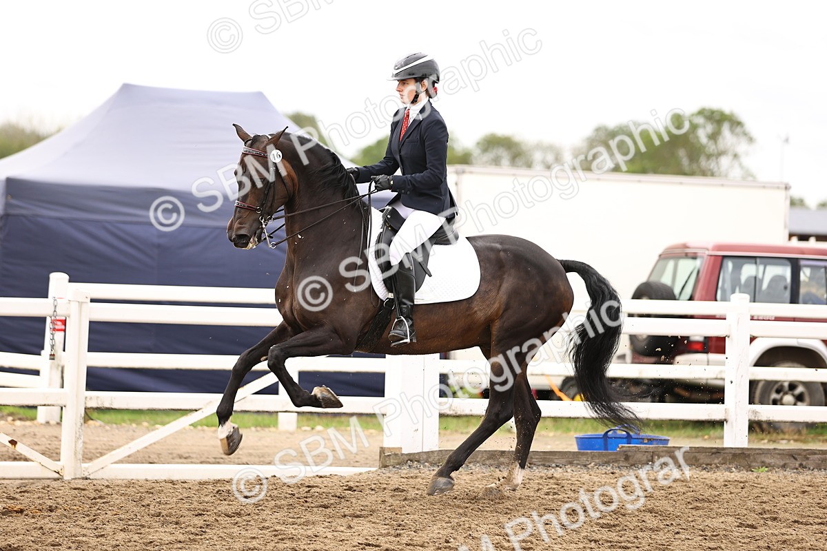 SBM_01384 - Class 54 - Riding Club Horse Pony