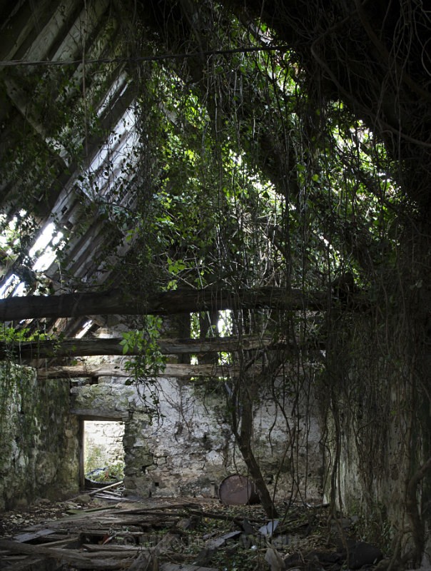 Anglesey Landscape photography - ANGLESEY @ NORTH WALES LANDSCAPE PHOTOGRAPHY