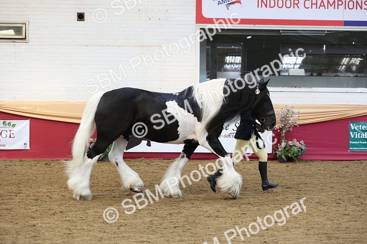 SBM_23682 - class 906 - Supreme Final - Ridden Pre Vet