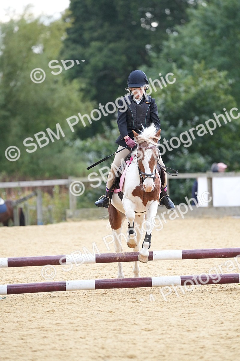 SBM_74665 - J4 - Mini Tour Junior Pony 45cm Championship