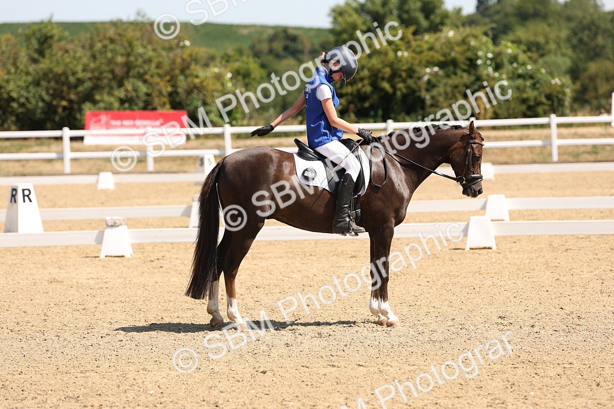 SBM_001191 - Intro 2