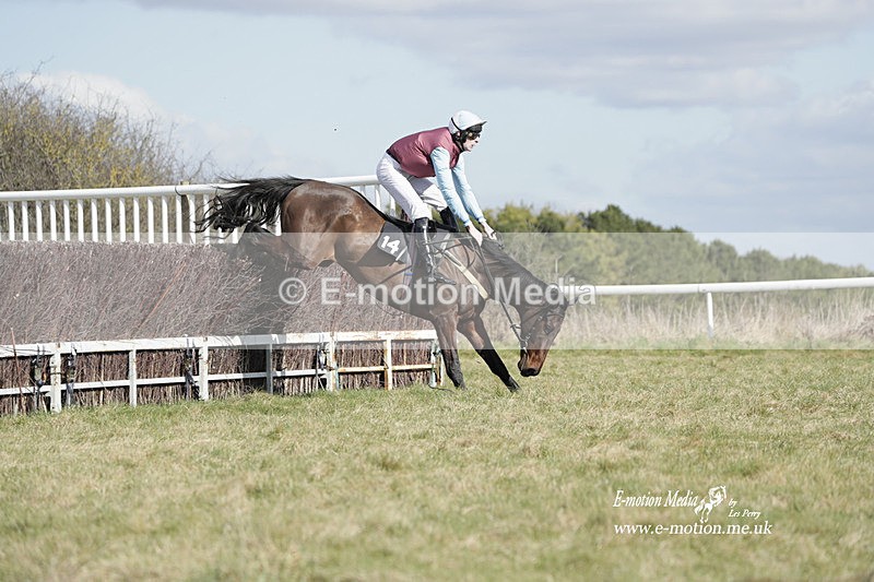 PtP 260223 471 - South & West Wilts Point-to-Point Larkhill 26/02/23