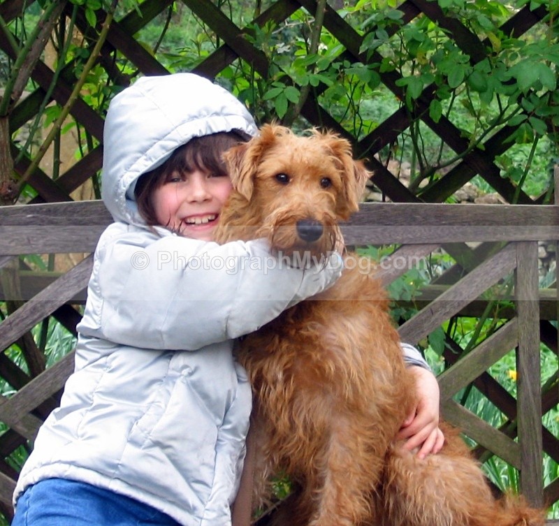  - Man's Best Friend