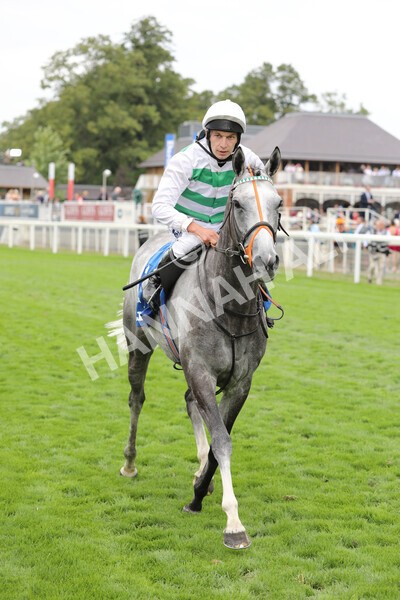 yr18082022r4-48 - Race 4 3.35pm Darley Yorkshire Oaks (British Champions Series Race)