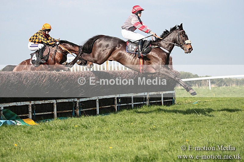 PtP 210418 505 - South & West Wilts Point-to-Point Larkhill 21/04/18