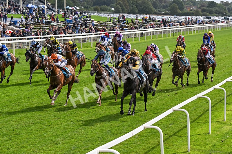 060926-Race 2-Oriental Prince-0111 - Race 2 2.05pm Fine Details Car Valeting Sprint Handicap