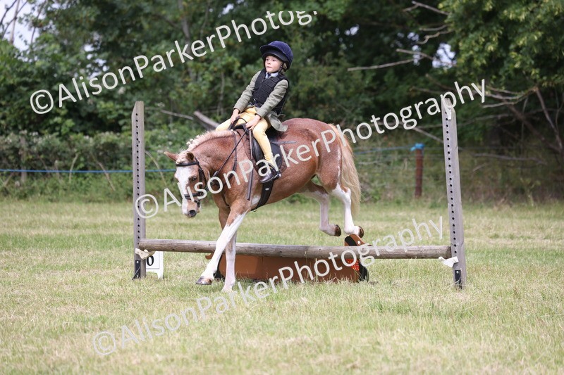 20260614-2041 - Class 21 - Novice Working Hunter Pony