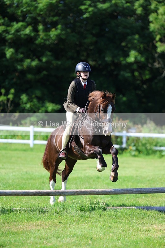 3E7A5929 - Class 27: Novice Working Hunter Pony