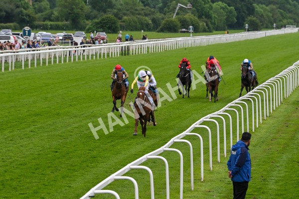 250524-Race 6-Primo Lara-4193 - Race 6 4.30pm Royal Yorkshire Regiment Handicap