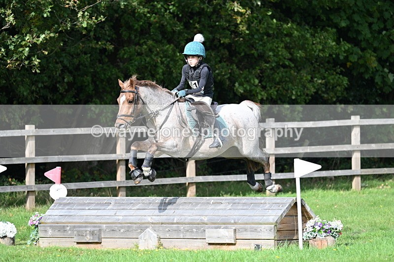 WJ7_5029 - 60cm Time 11:11 to 11:19