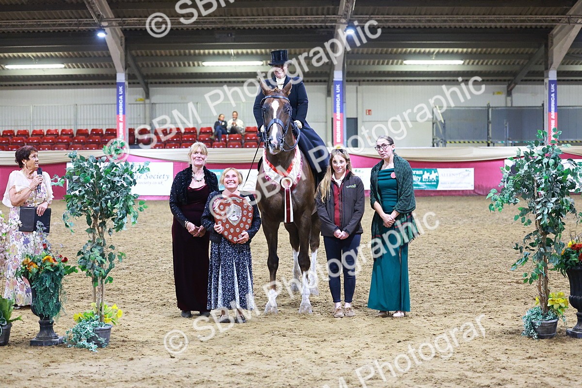 SBM_15454 - Class Q - Ridden Horse Champ
