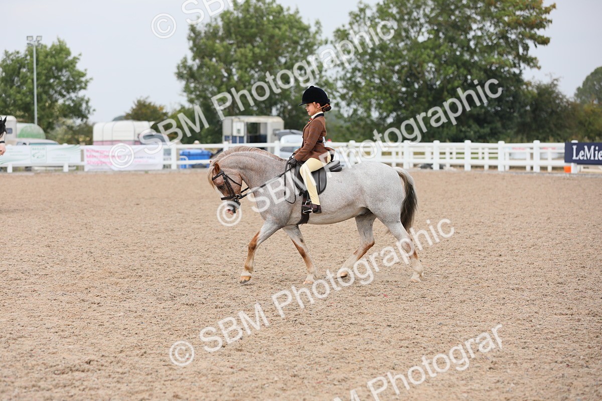 SBM_12706 - Class 307 Ridden Coloured Pony