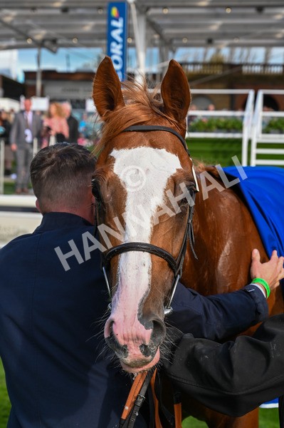 141023-Race 2-Whiskey Pete-8801 - Race 2 1.50pm Play Coral 'Racing-Super-Series' For Free Nursery Handicap