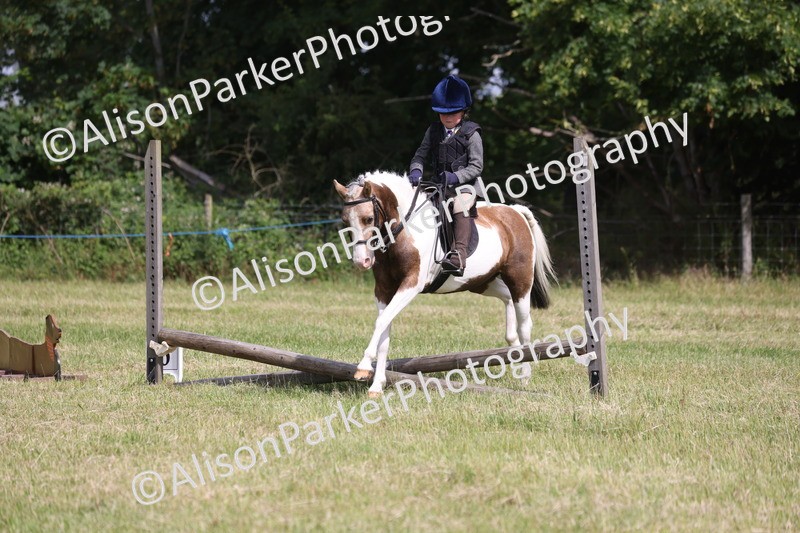 20260614-0684 - Class 20 - Beginners Working Hunter Pony