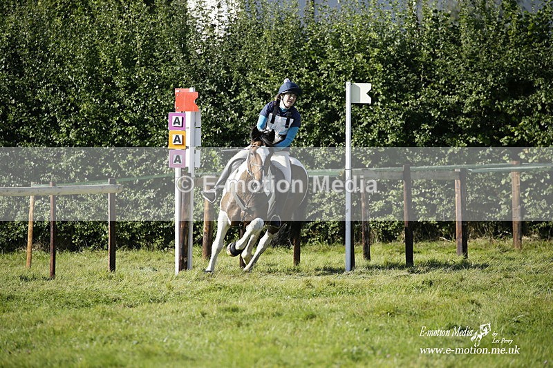  WWHT 031021 1225 - Open Novice (0.80m) 03/10/21