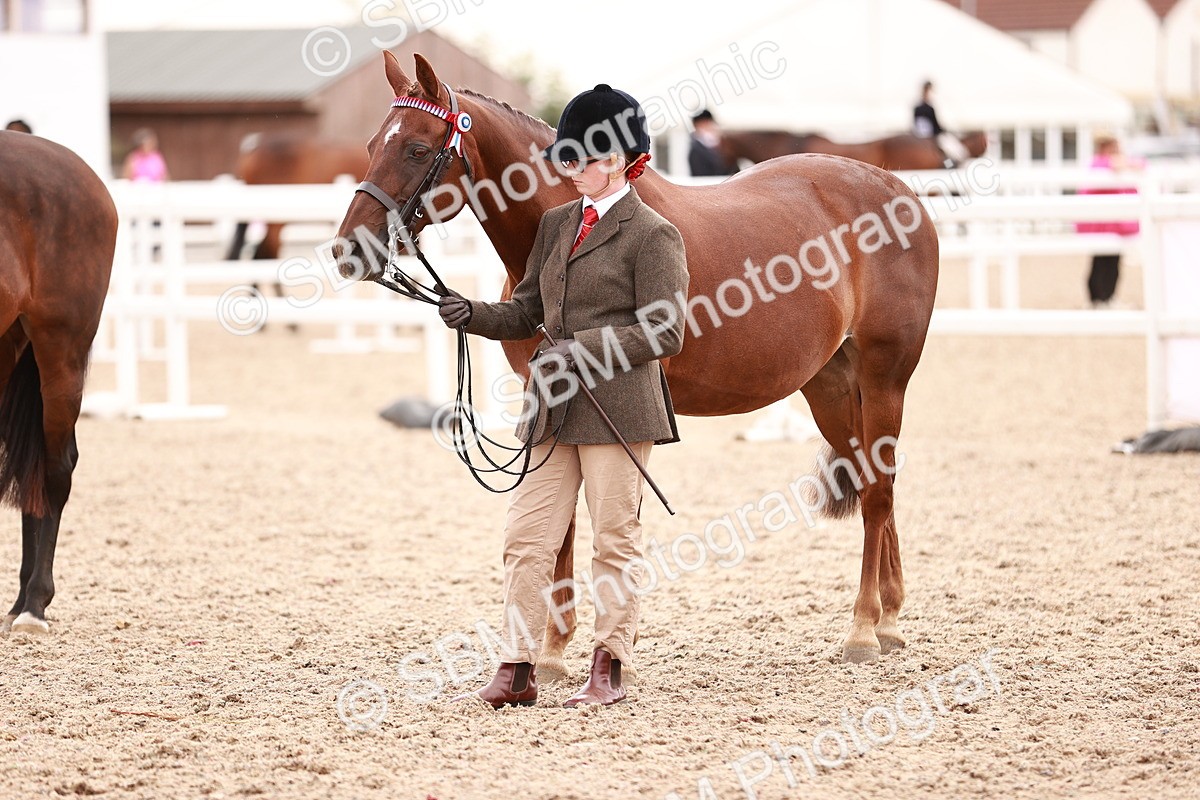 SBM_16354 - Class 413 - Best Condition - Adult