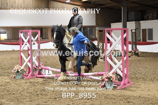 BPP_8955 - CLASS 1 20CM