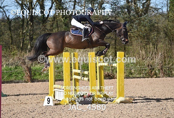 JAC_4580 - CLASS 11 SAT Andrew Hamilton Coach, RHS Foxhunter Championship Qualifier