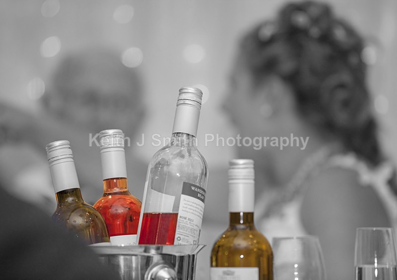 Linda Steves Wedding-402 - Wedding Day