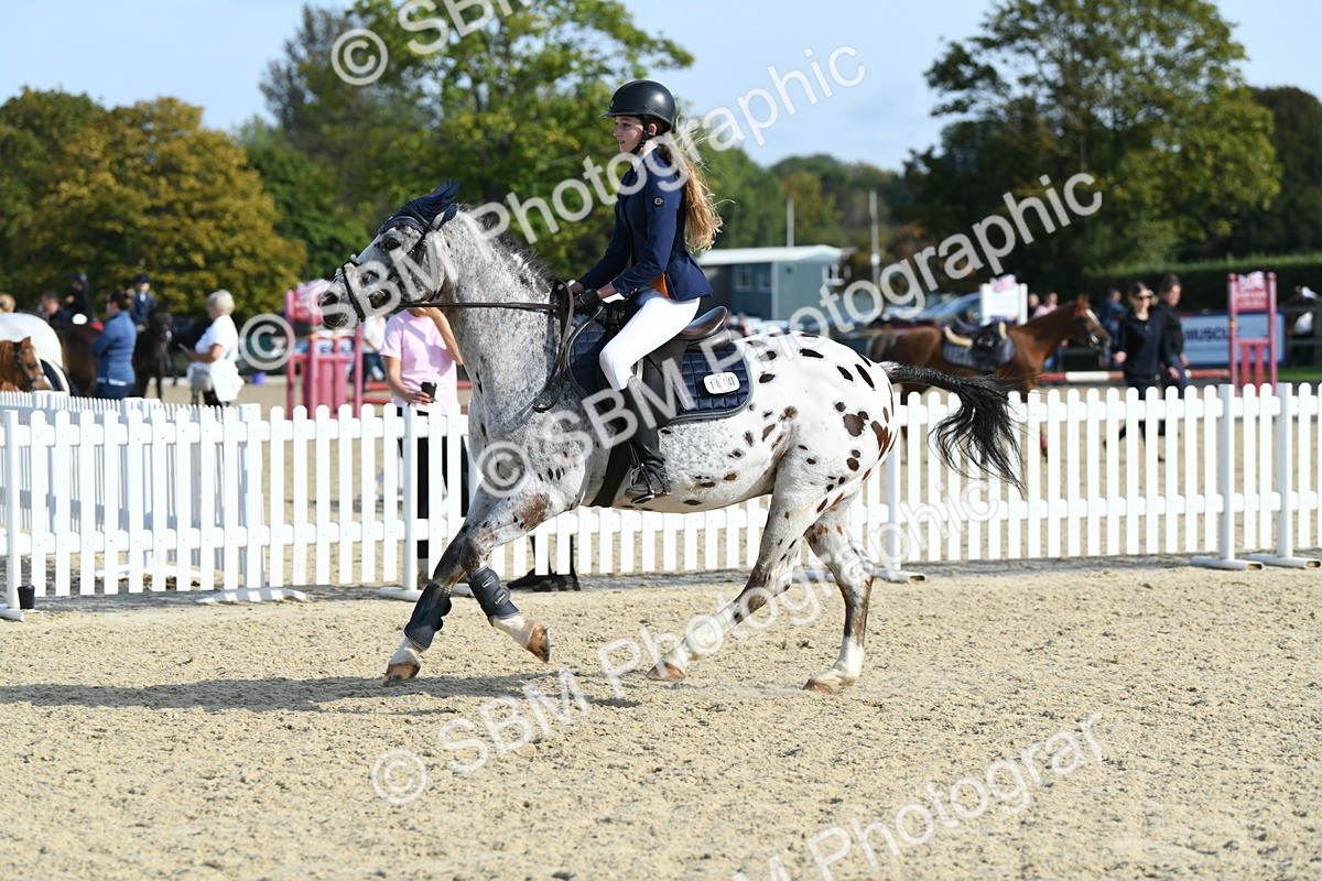 SBM_60728 - j25 - Junior Horse 80cm Championship