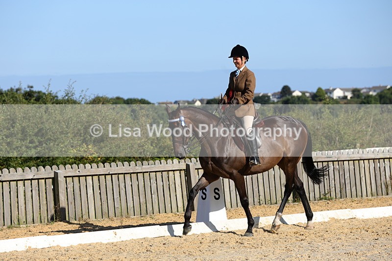 1X9A7644 - Class 7: Novice Ridden Hunter/Hack/Cob/Riding Horse