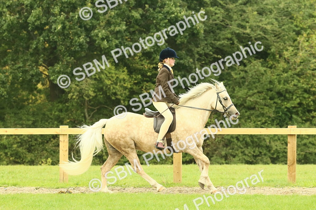 SBM_71909 - S60 - Mountain & Moorland Ridden Large Breeds