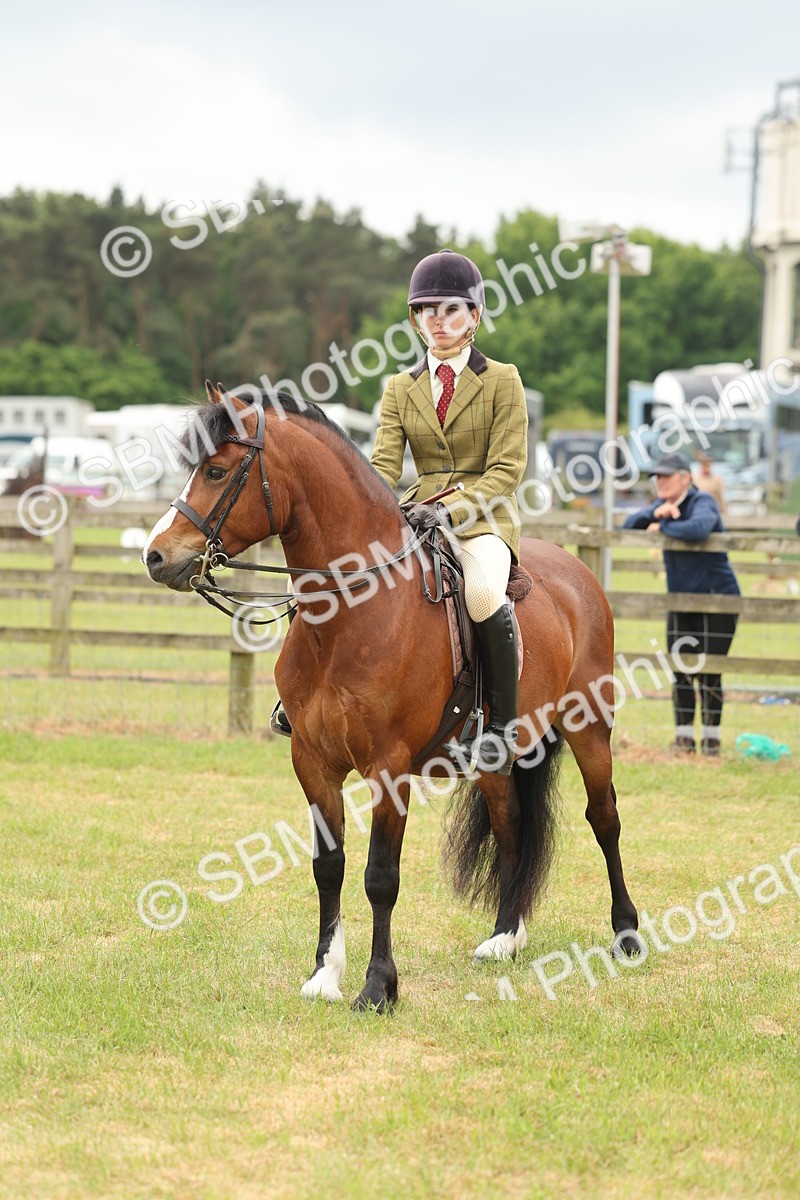 SBM_07223 - Class 76-77 - Ridden M&M Welsh Ponies