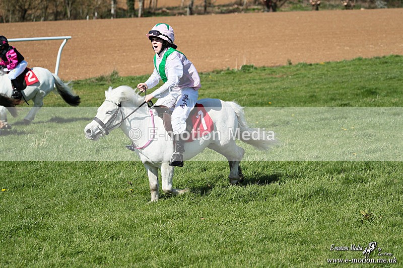 Shet 060426 176 - Shetland Pony Racing Paxford Races Easter Mon 06/04/26