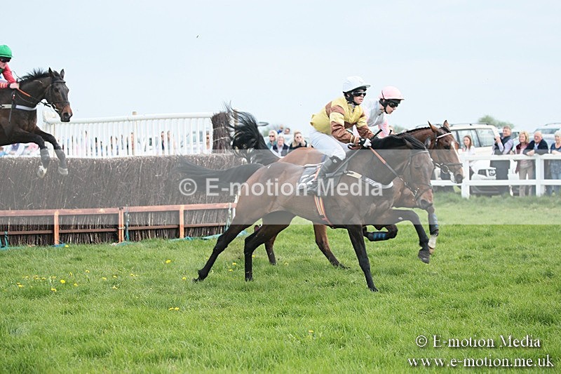 PtP 210418 200 - South & West Wilts Point-to-Point Larkhill 21/04/18