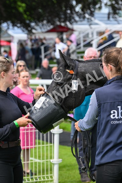 170524-Race 1-Betty Clover-7467 - Race 1 2.15pm Clipper EBF Marygate Fillies' Stakes
