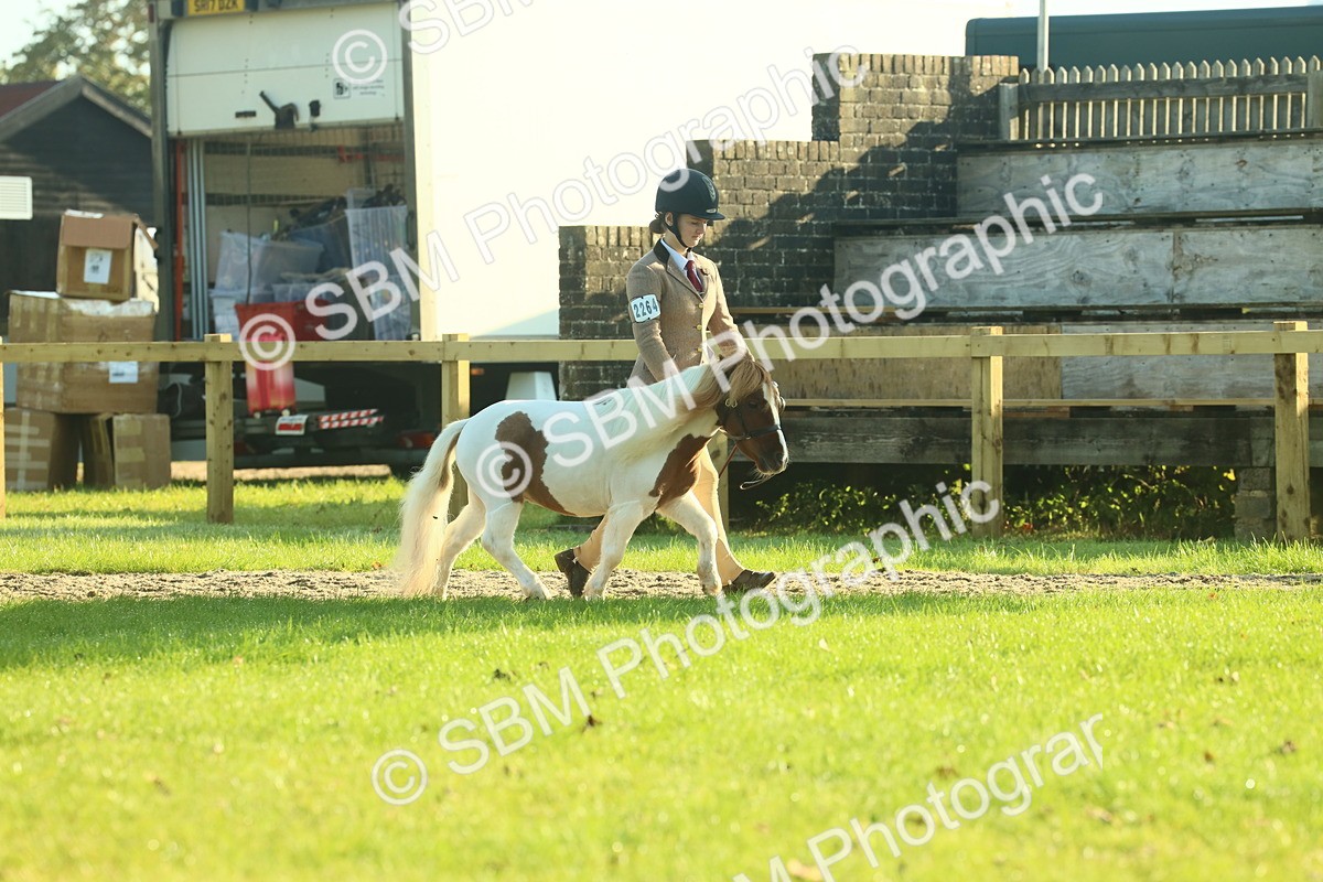SBM_58545 - S37 - Starters In Hand Showing
