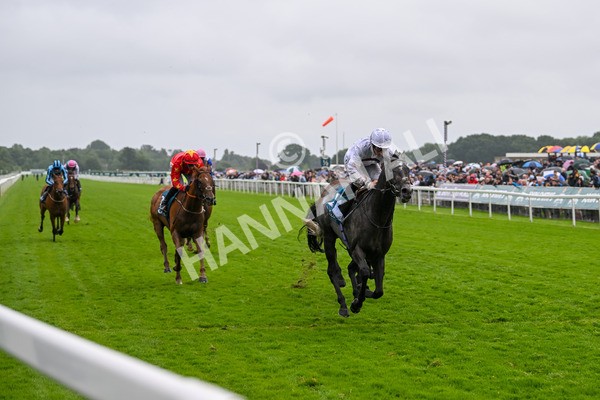 130724-Race 4-Alsakib-7482 - Race 4 3.45pm John Smith's Silver Cup Stakes