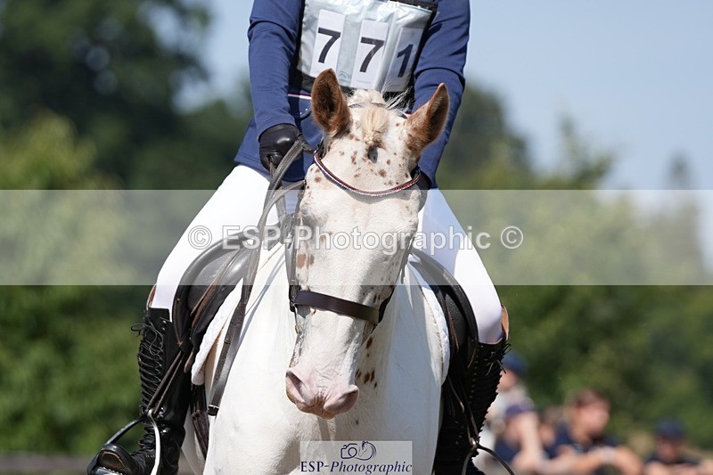 250823A-114816-29210 - Arena A