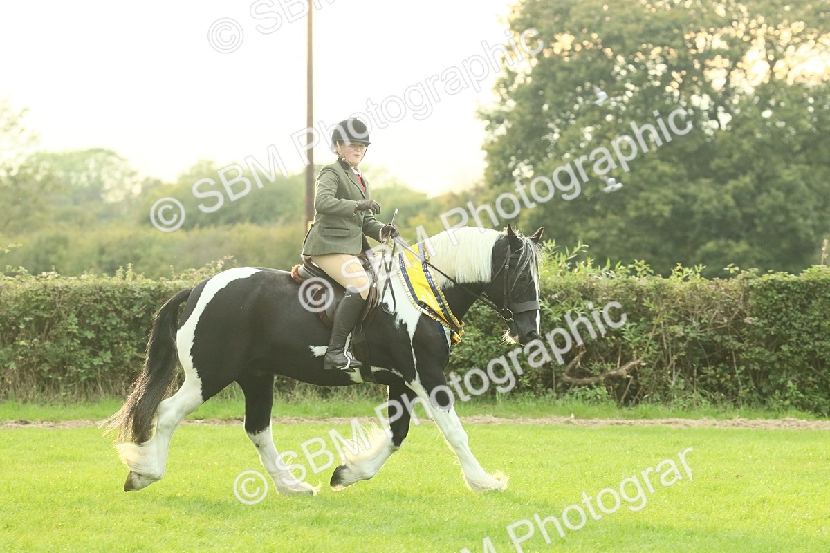 SBM_75332 - Super Supreme Championship