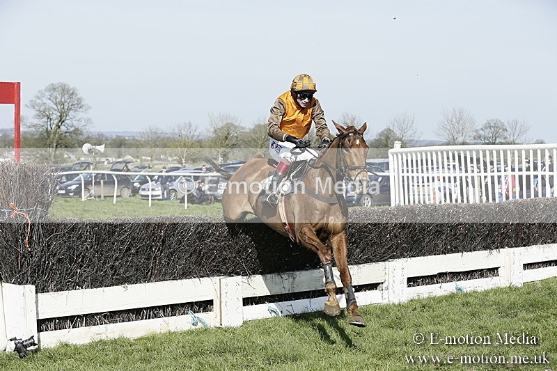 PtP 260317 287 - Mendip Farmers Point-to-Point Ston Easton 26/03/17