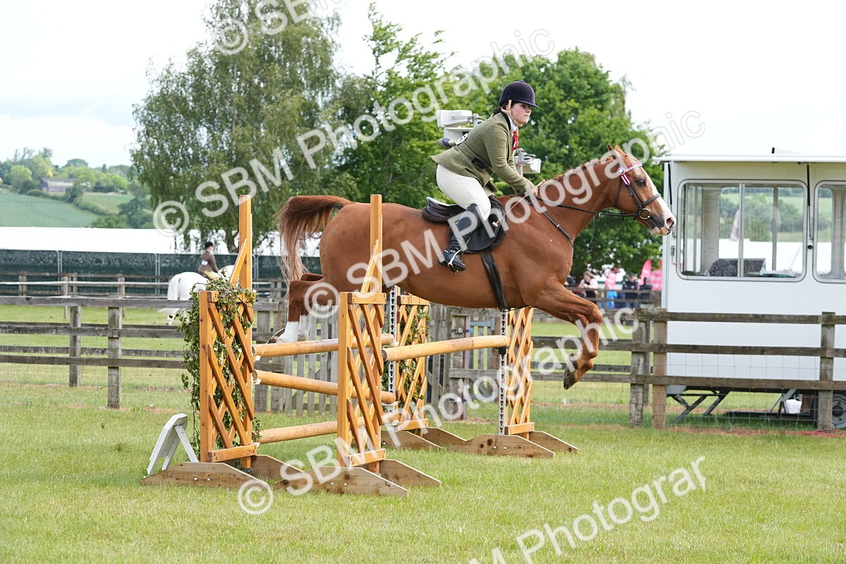 SBM_12911 - Class 99 - RIHS SEIB Working Show Horse