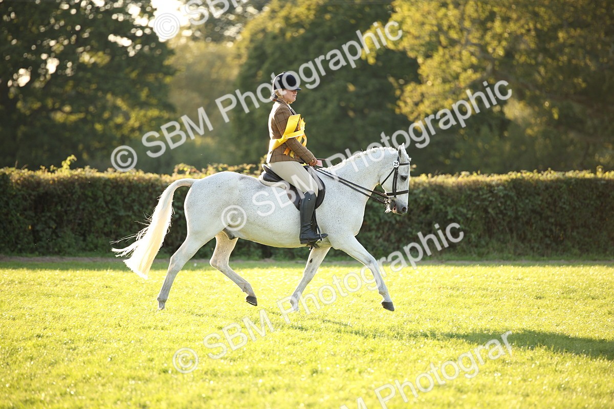 SBM_54492 - S27 - Mature Veteran - Ridden