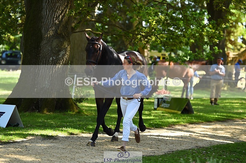 230524-152448-00247 - 326-GULLITH-Emily_Lochore-WEDTrotUp+DR